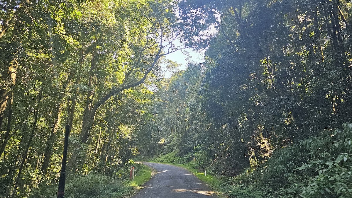 Tooloom National Park