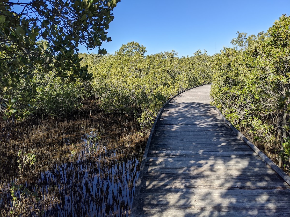 Hunter Wetlands National Park