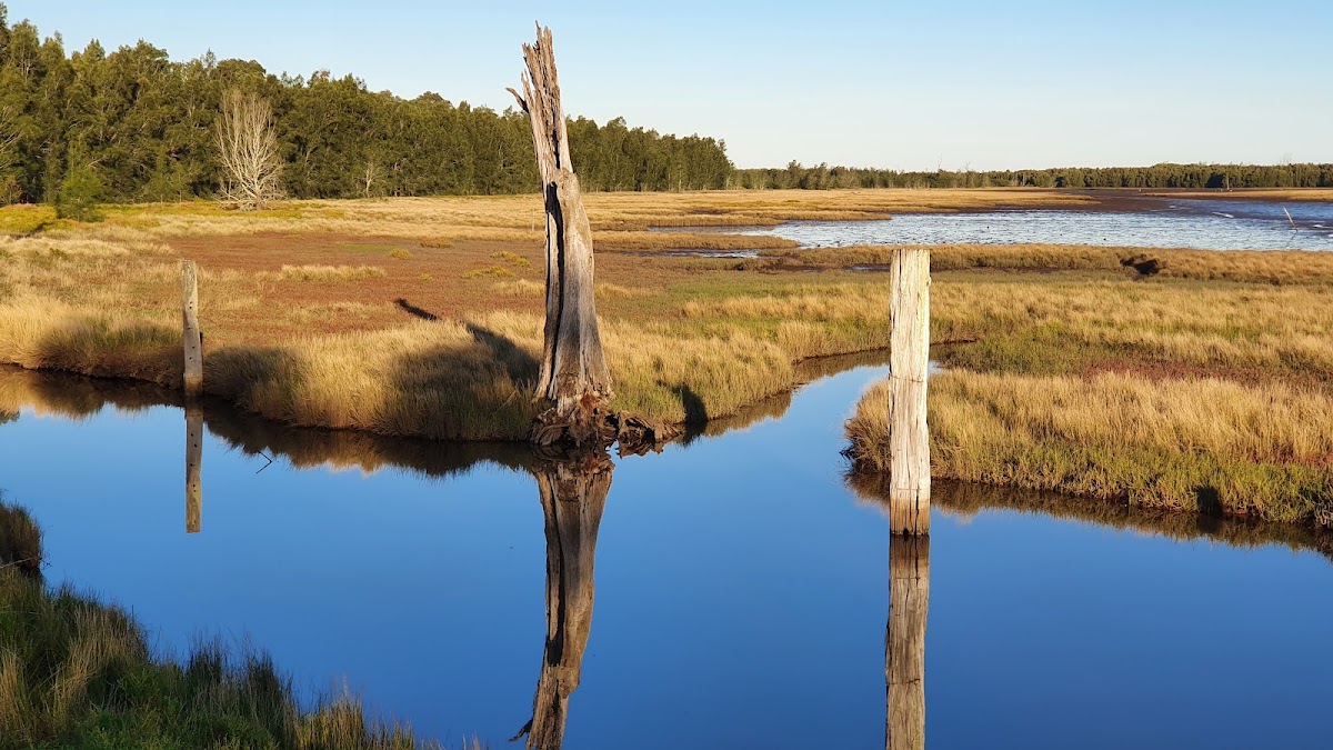Hunter Wetlands National Park