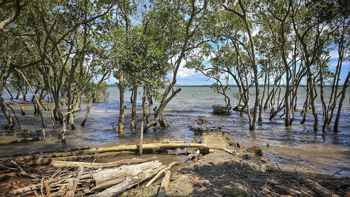 Hunter Wetlands National Park