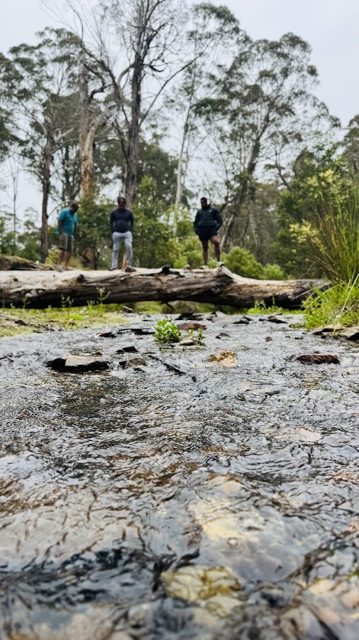 Mulloon Creek Camp Ground