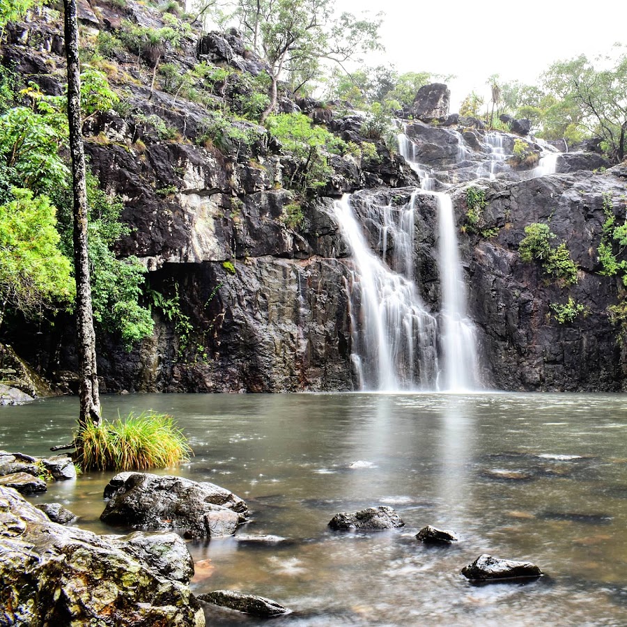 Cedar Falls