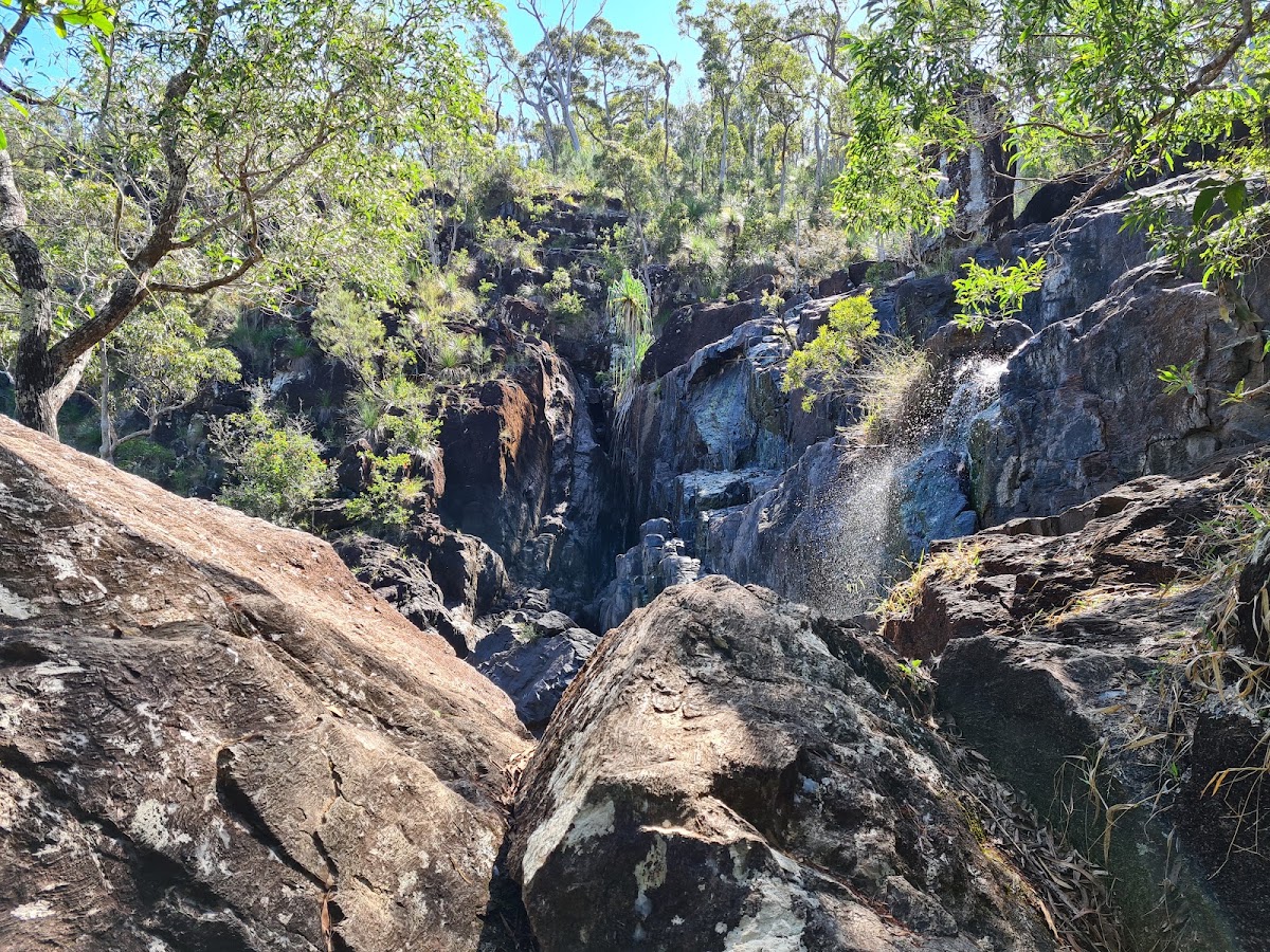 Cedar Falls