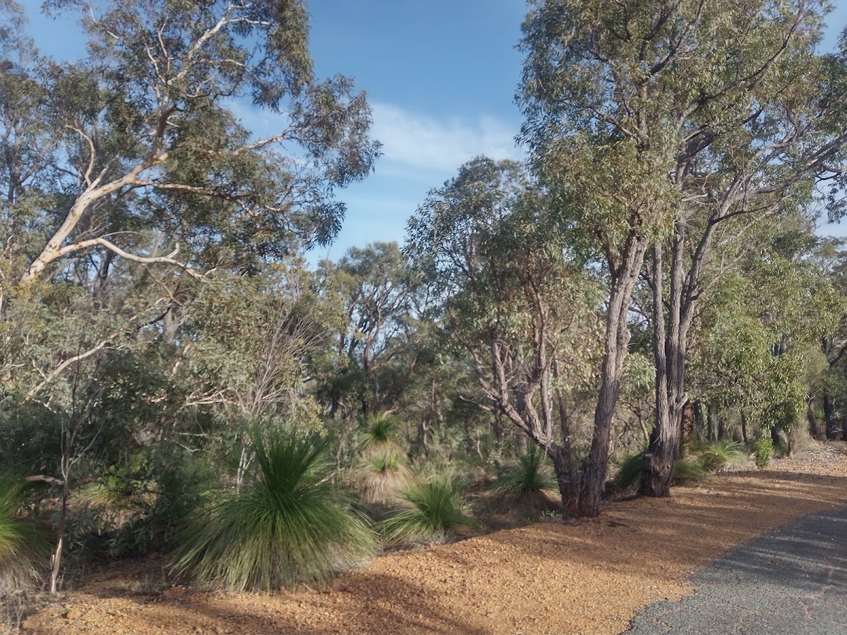 Greenmount Lookout