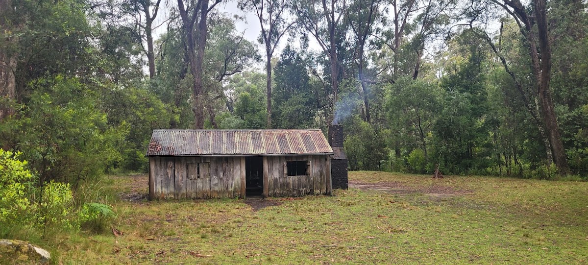 Bellbird Campground