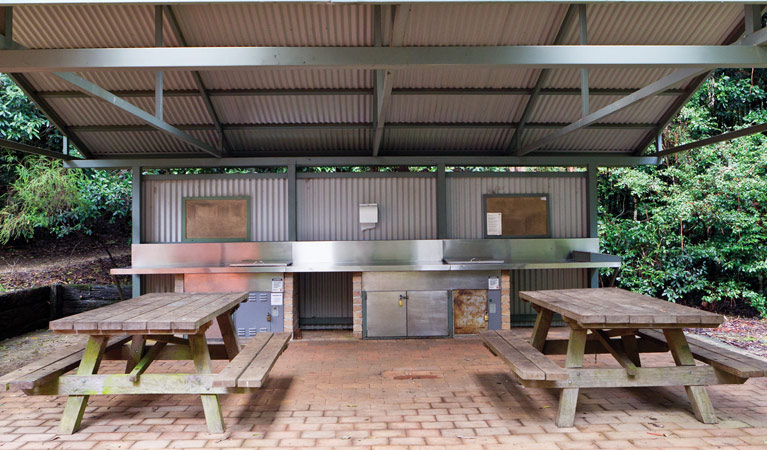 Bellbird Campground