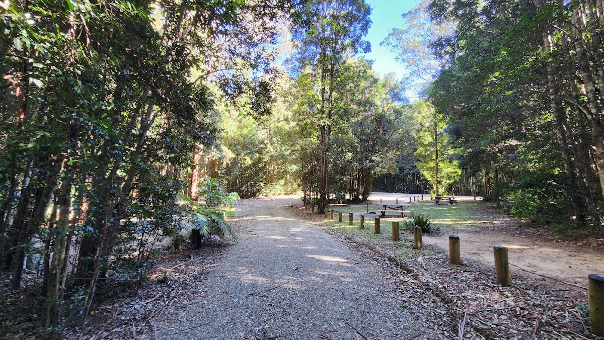 Bellbird Campground