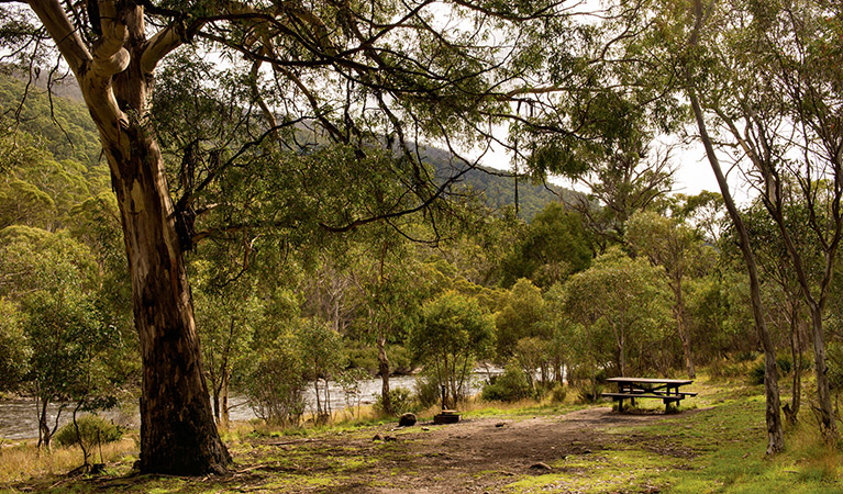 Island Bend Township Campground