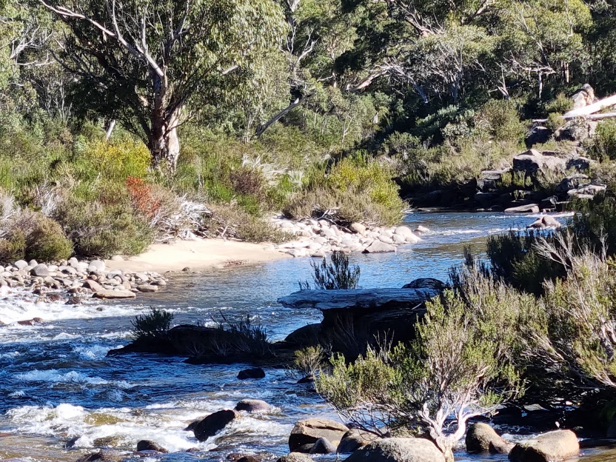Island Bend Township Campground