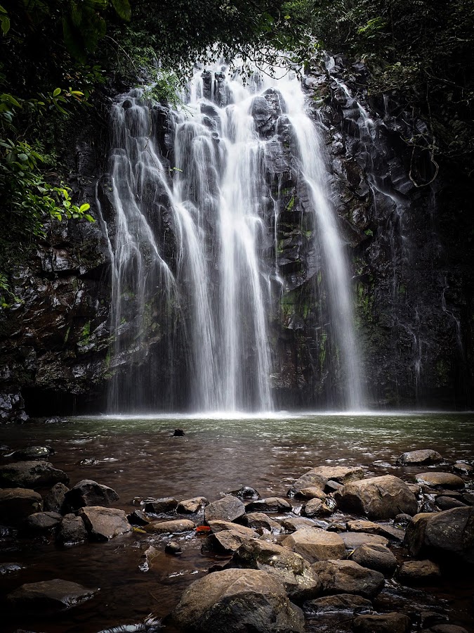 Teresa Falls