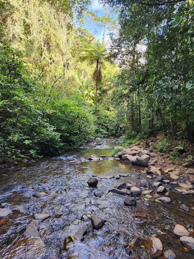 Teresa Falls