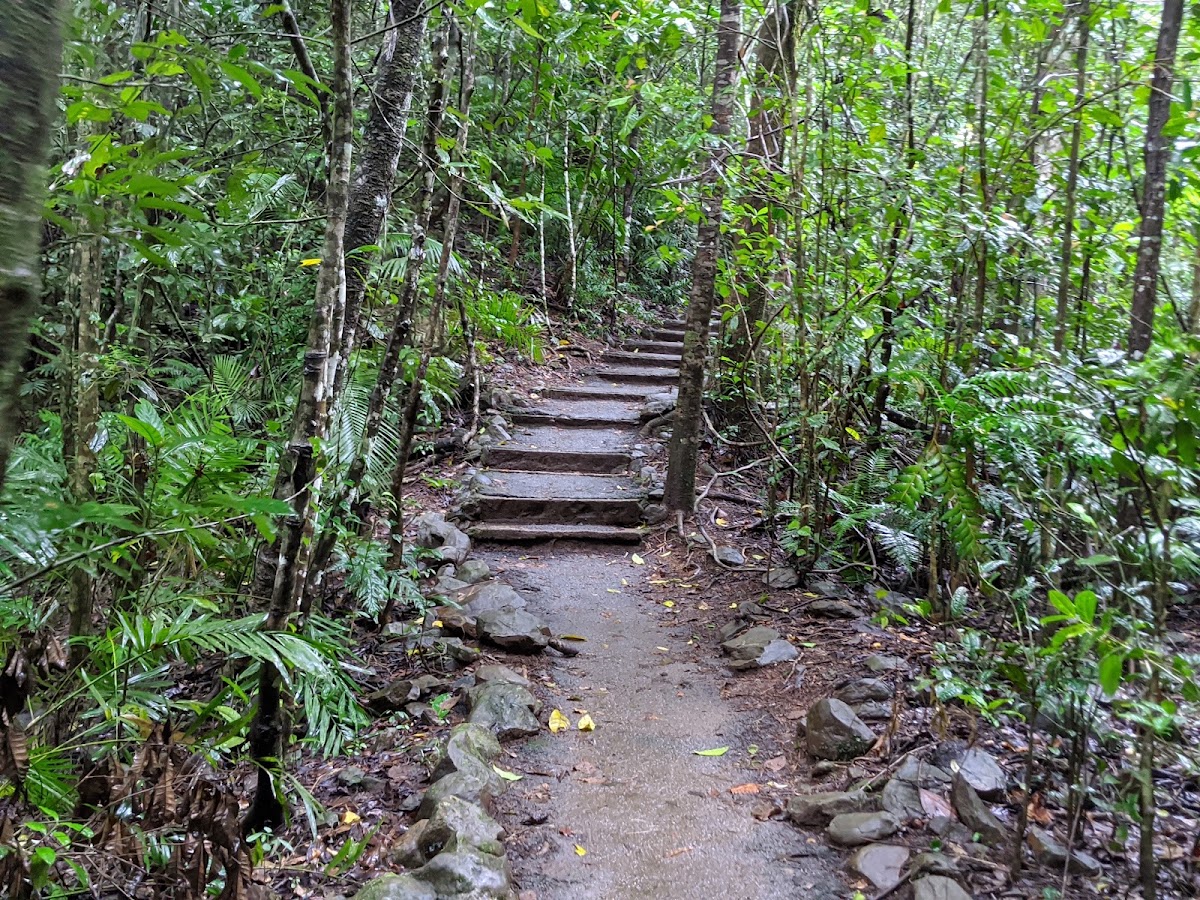 Teresa Falls