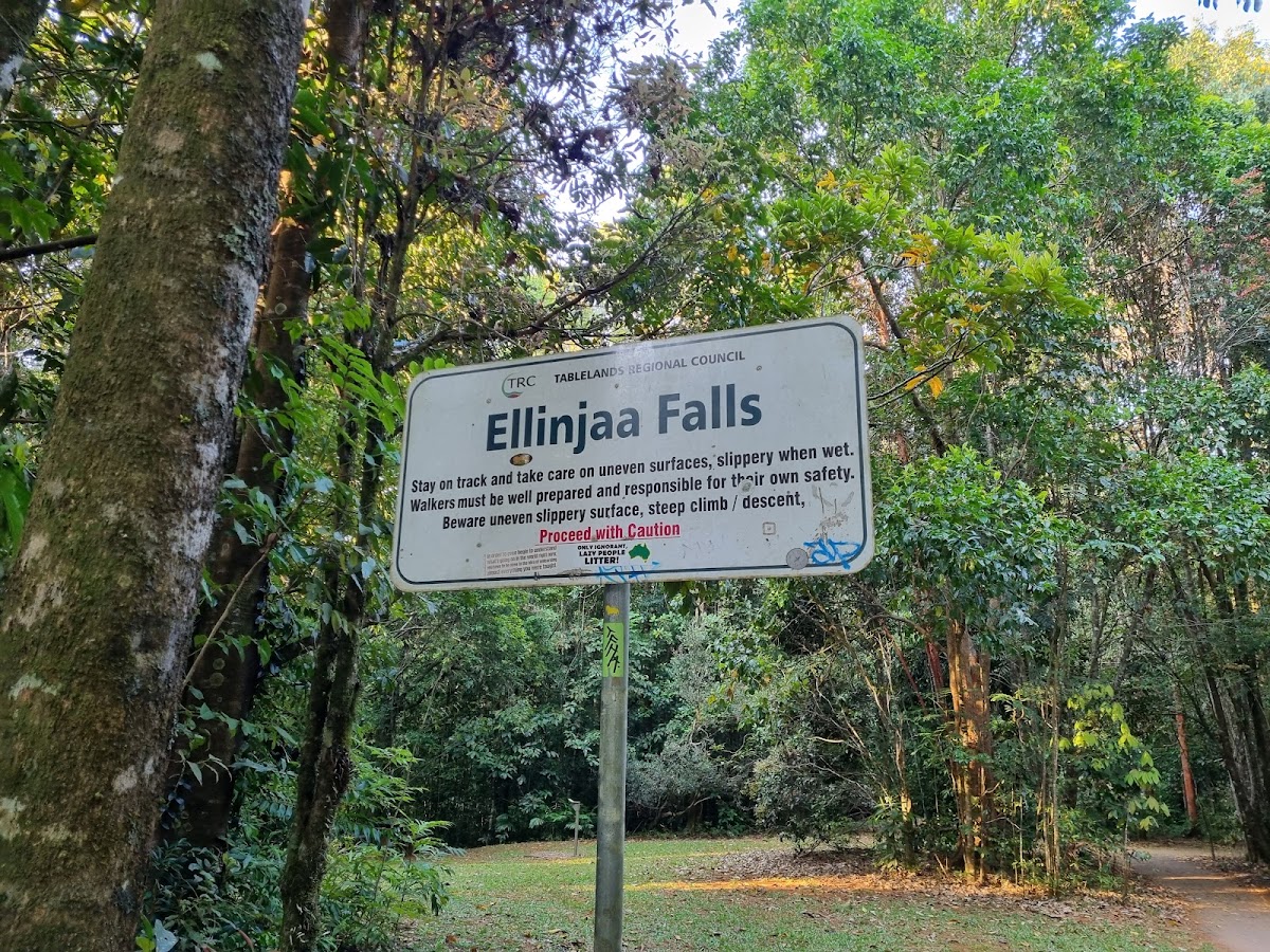 Teresa Falls