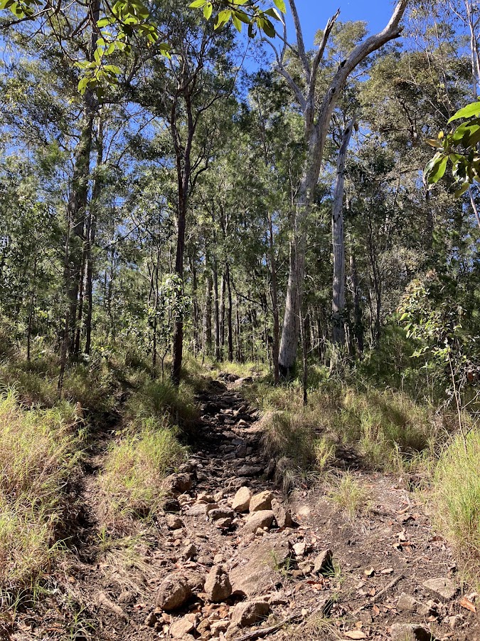 Wharton's Lookout