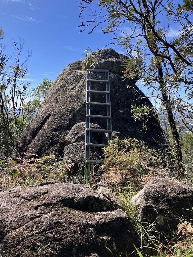 Wharton's Lookout