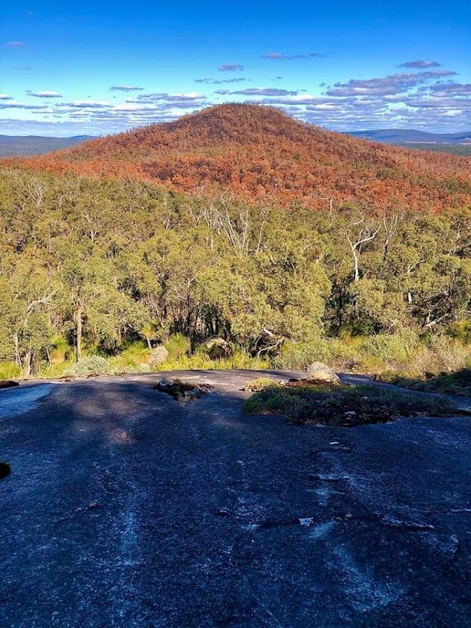 Mount Vincent