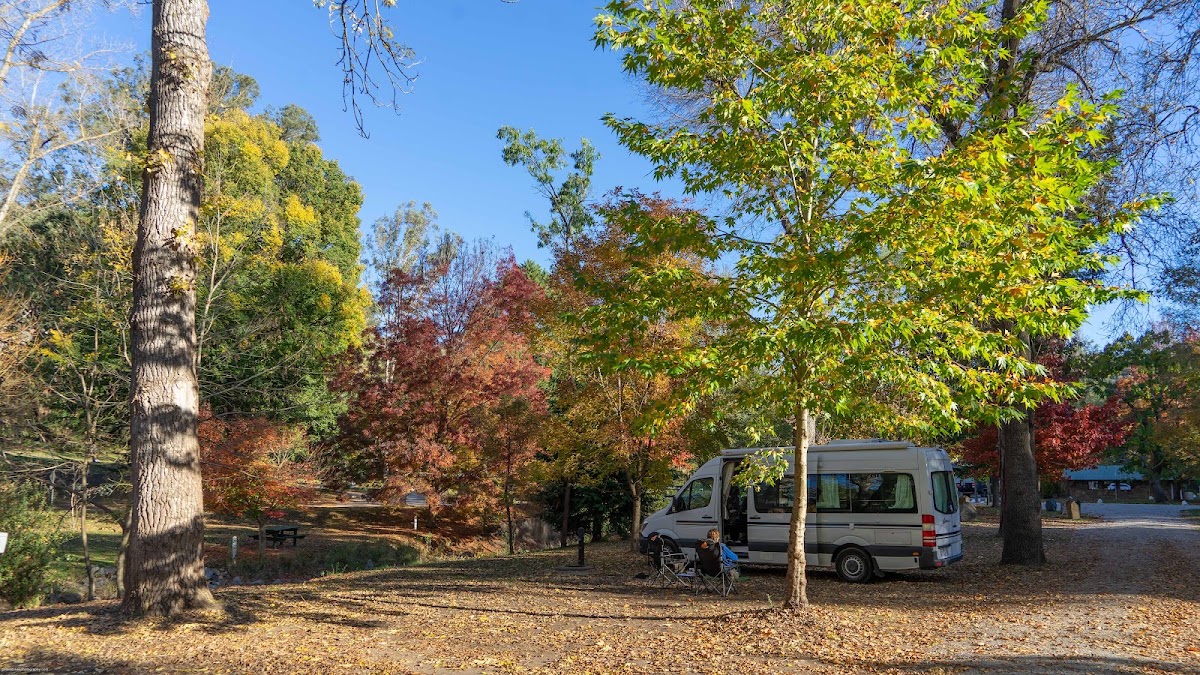 Buchan Caves Camping Reserve