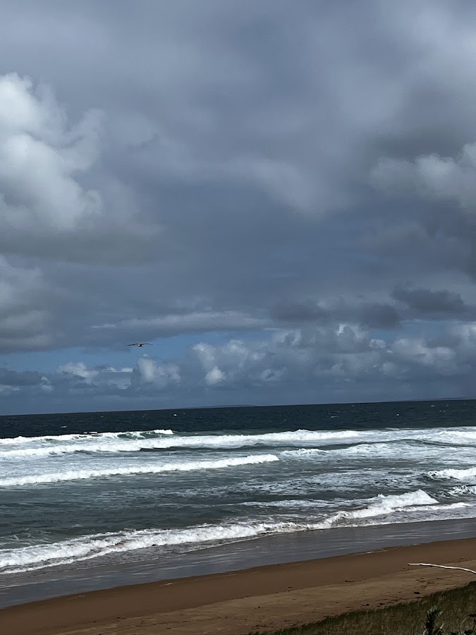 Sheepies Beach