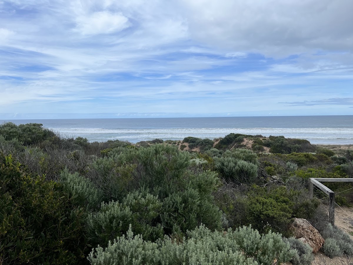 Sheepies Beach