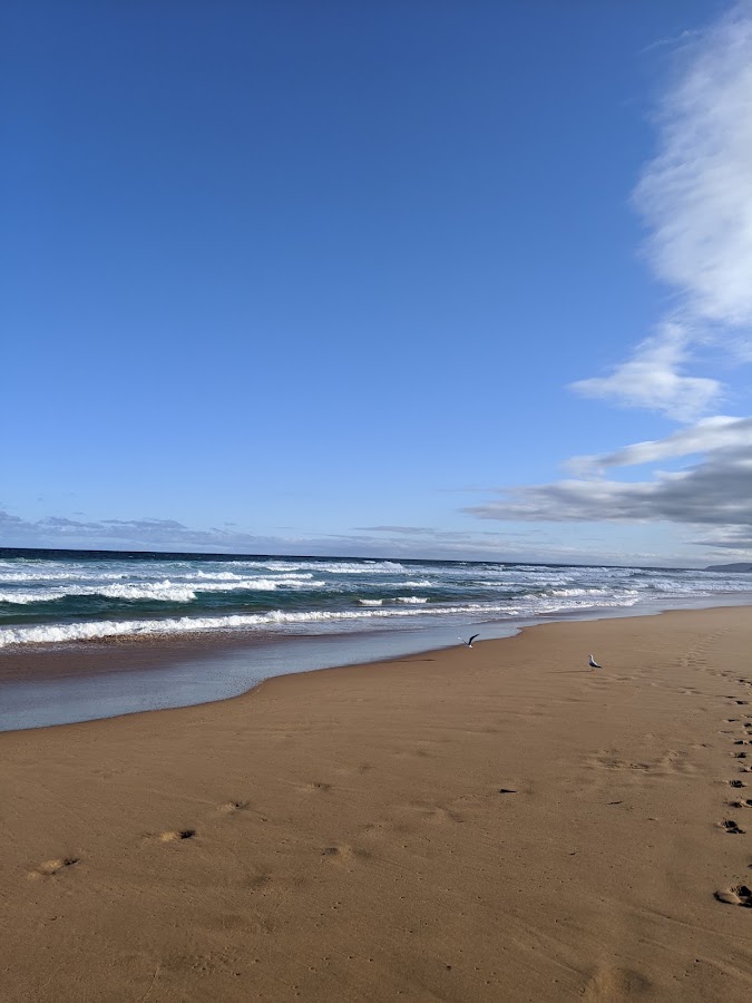 Sheepies Beach