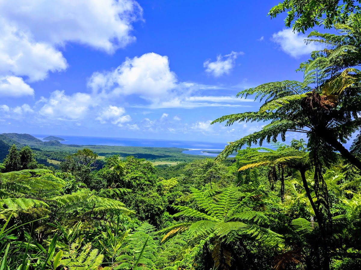 Daintree National Park