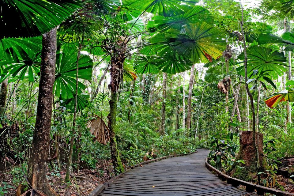 Daintree National Park