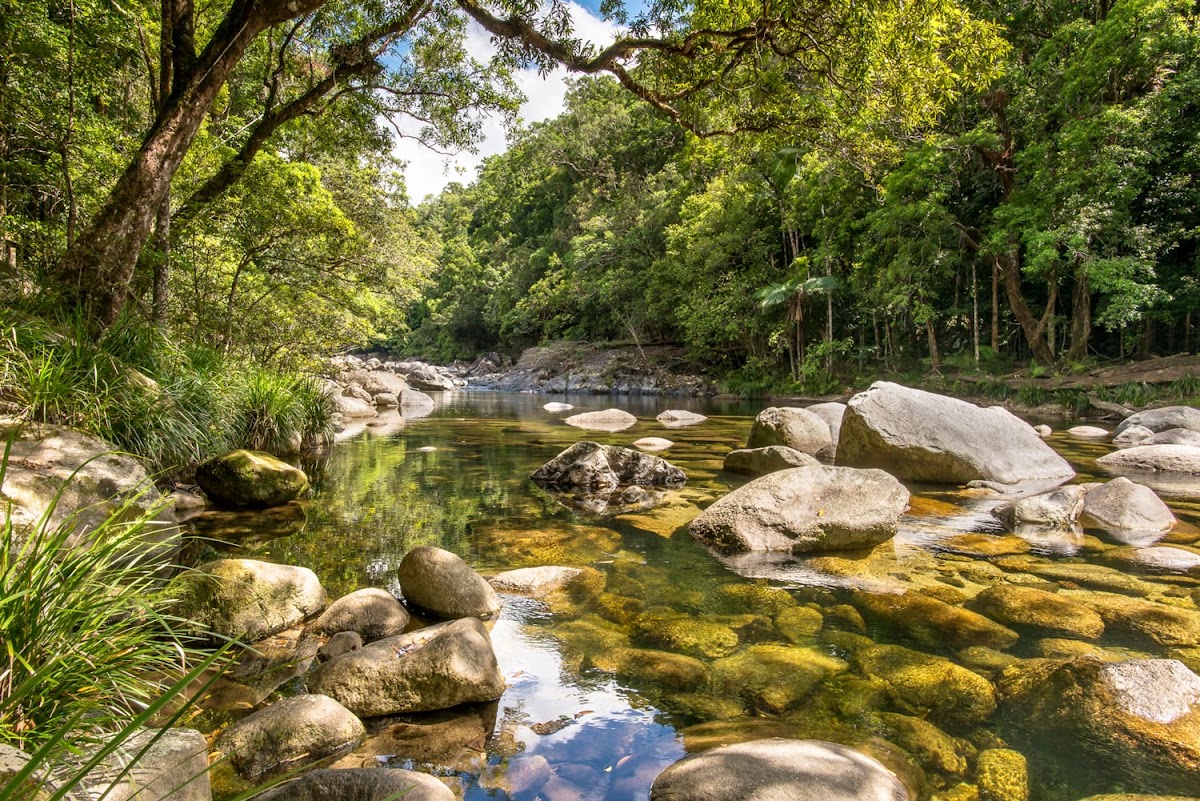Daintree National Park