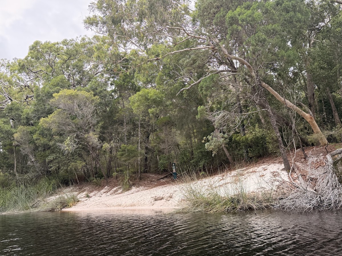 Campsite 4 Upper Noosa River