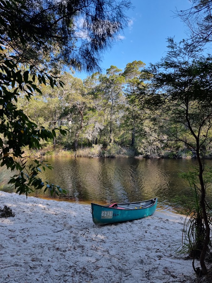 Campsite 4 Upper Noosa River