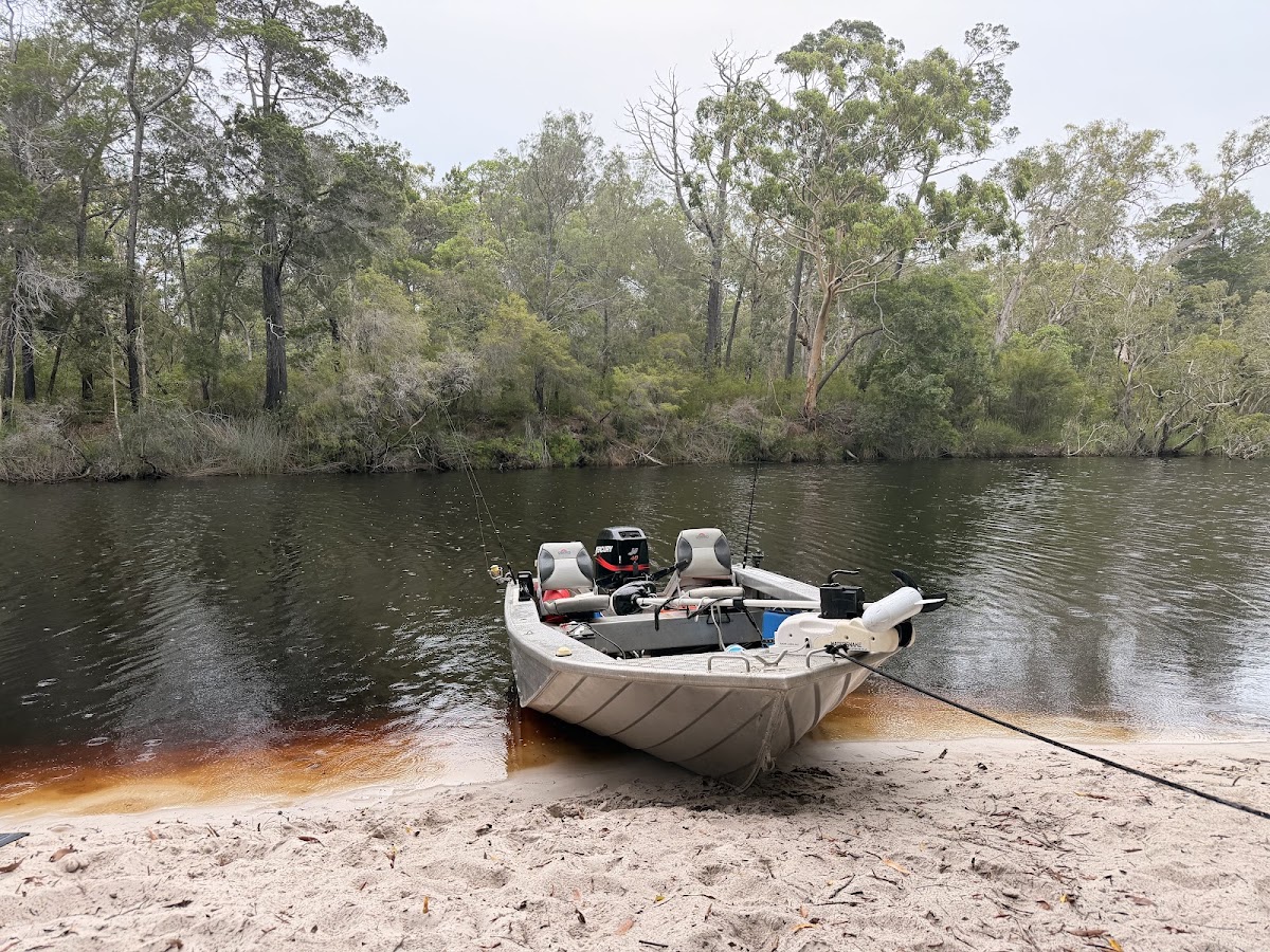 Campsite 4 Upper Noosa River