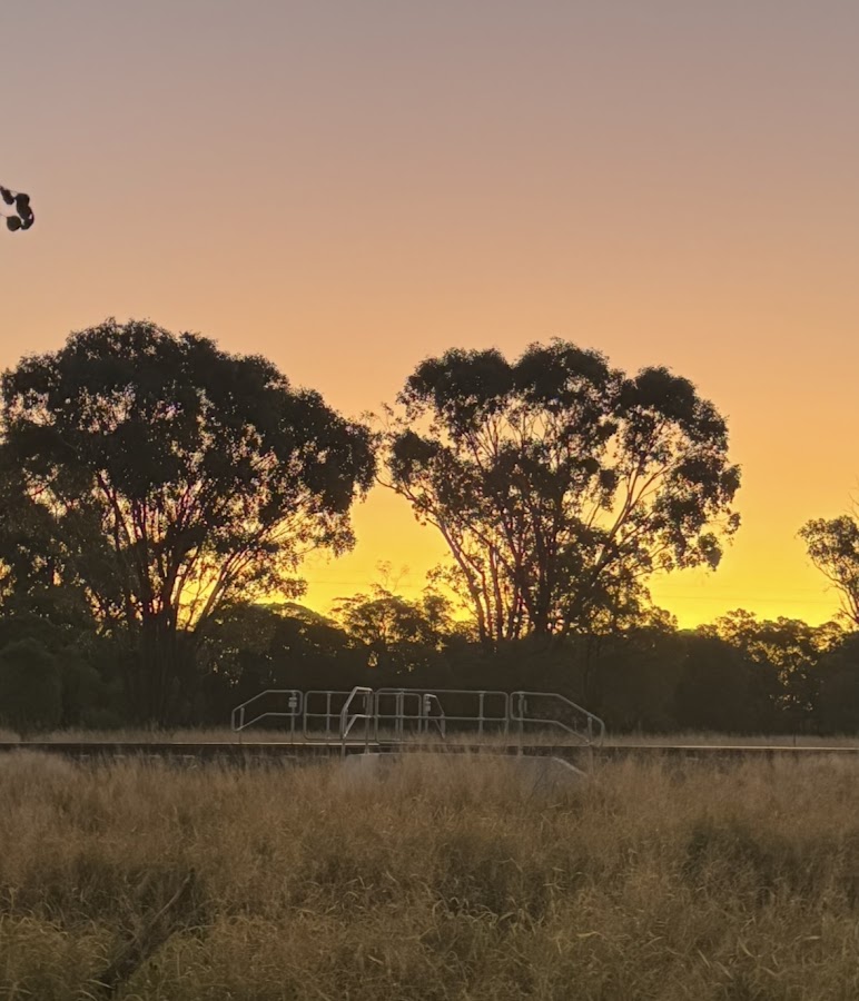 Black Stump Rest Area