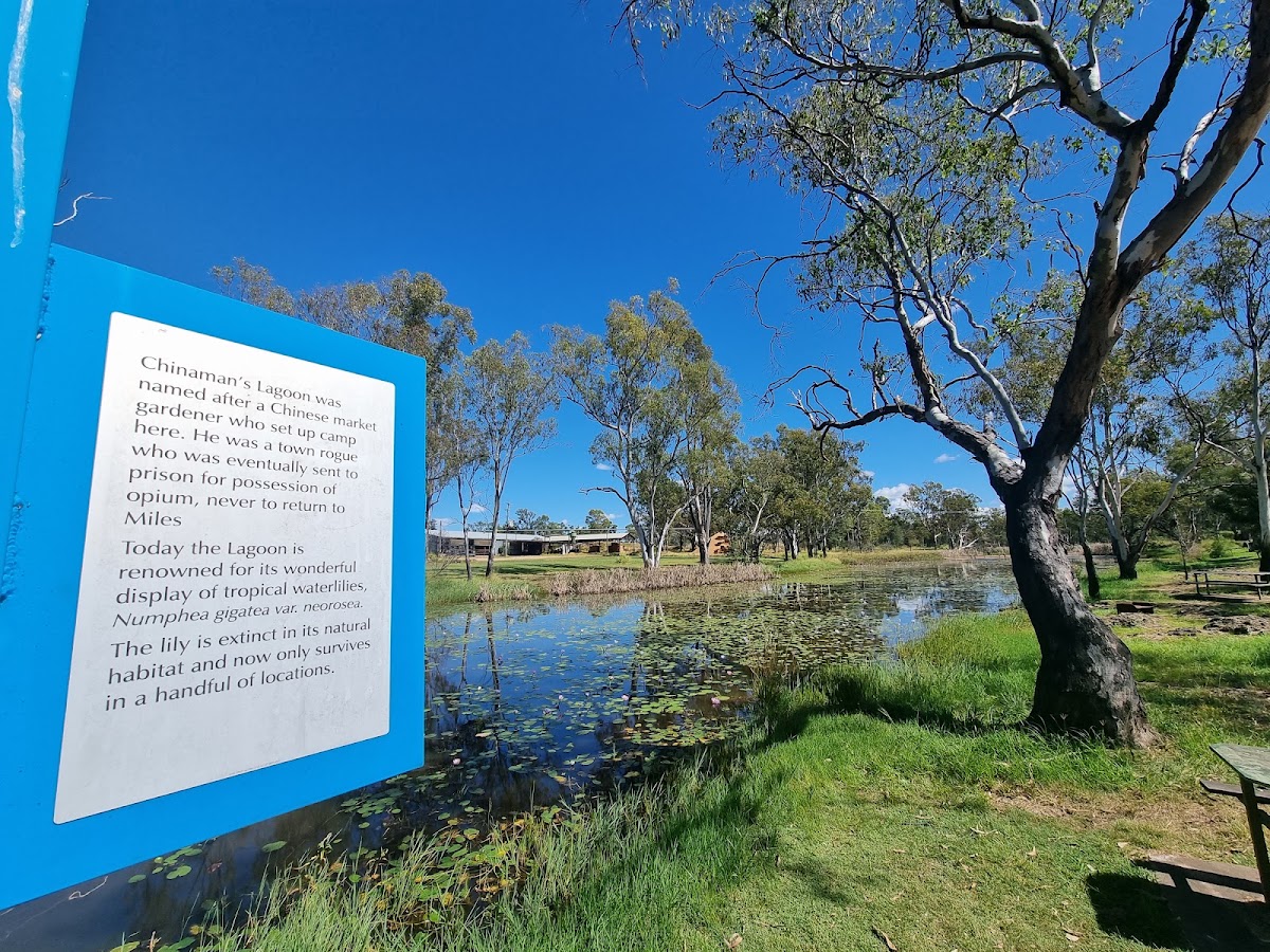 Chinamans Lagoon Rest Area