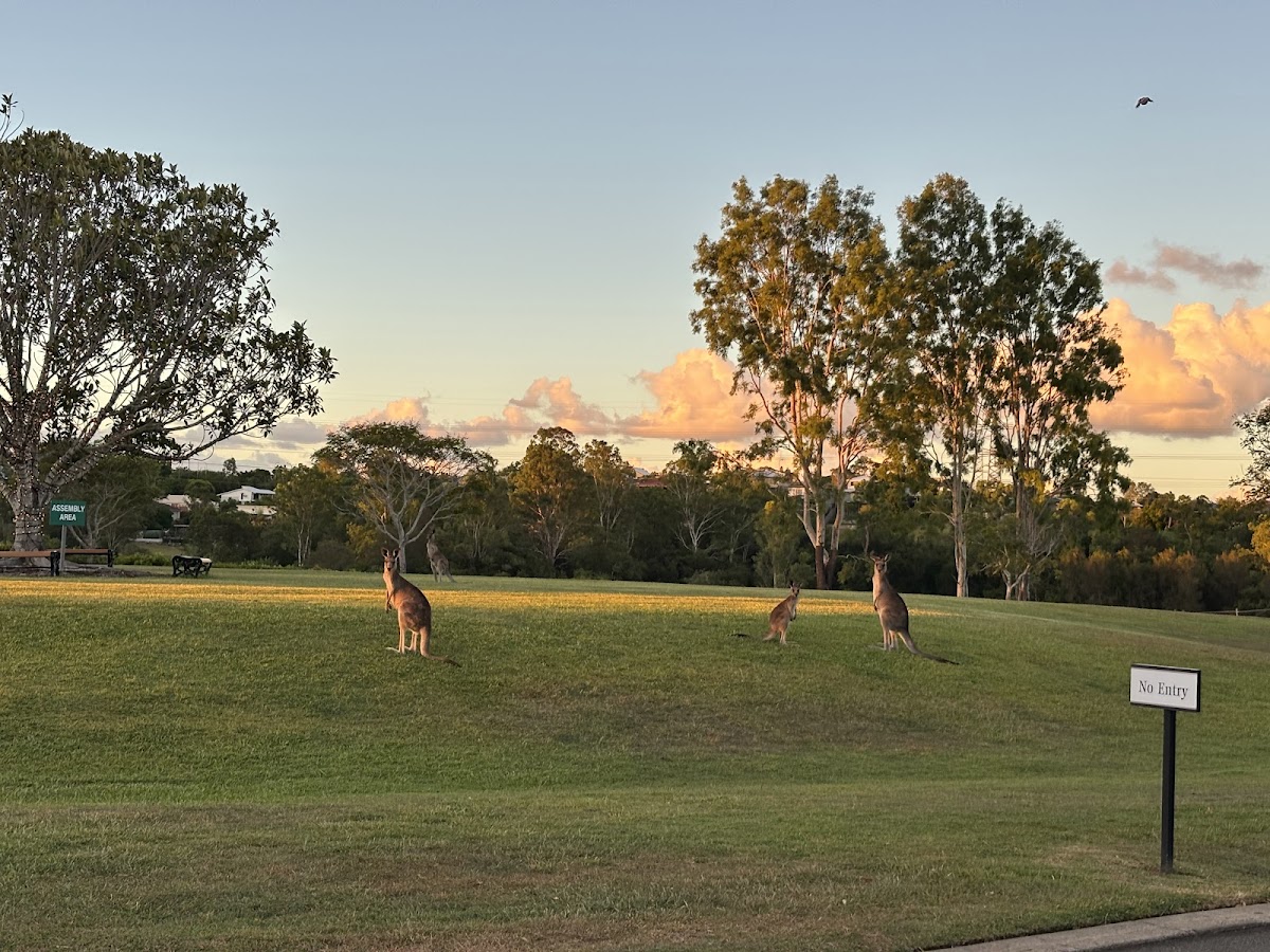 Centenary Gardens