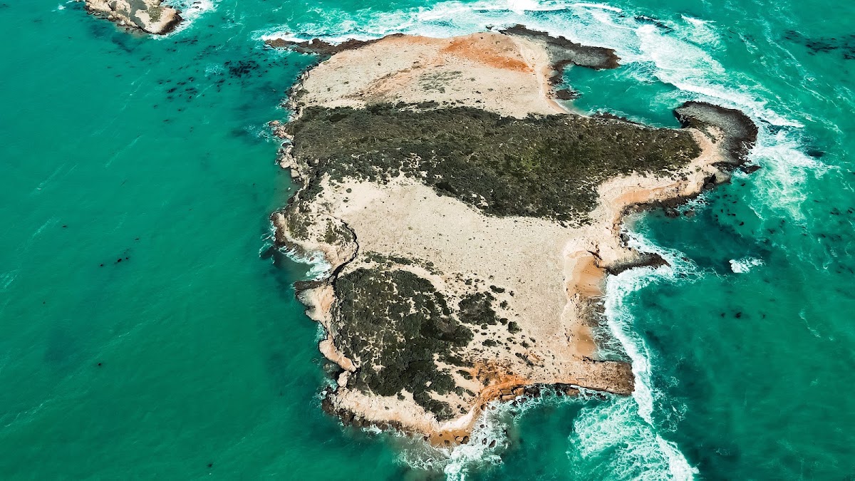 Penguin Island Conservation Park