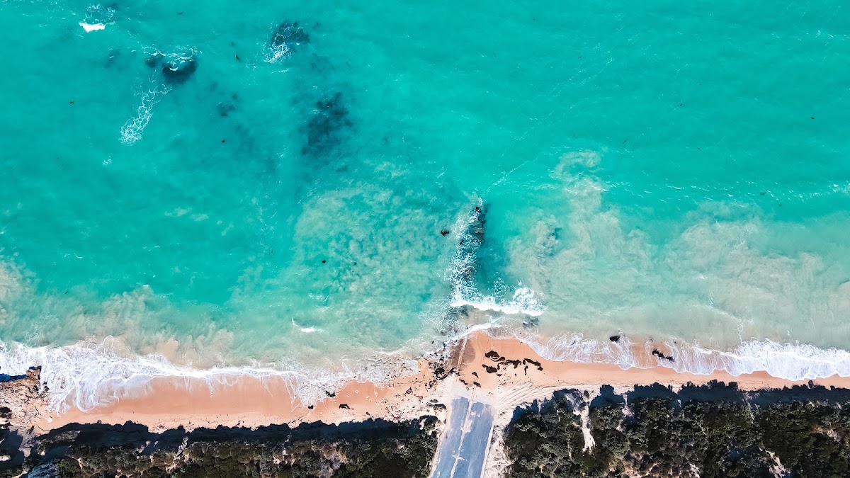Penguin Island Conservation Park