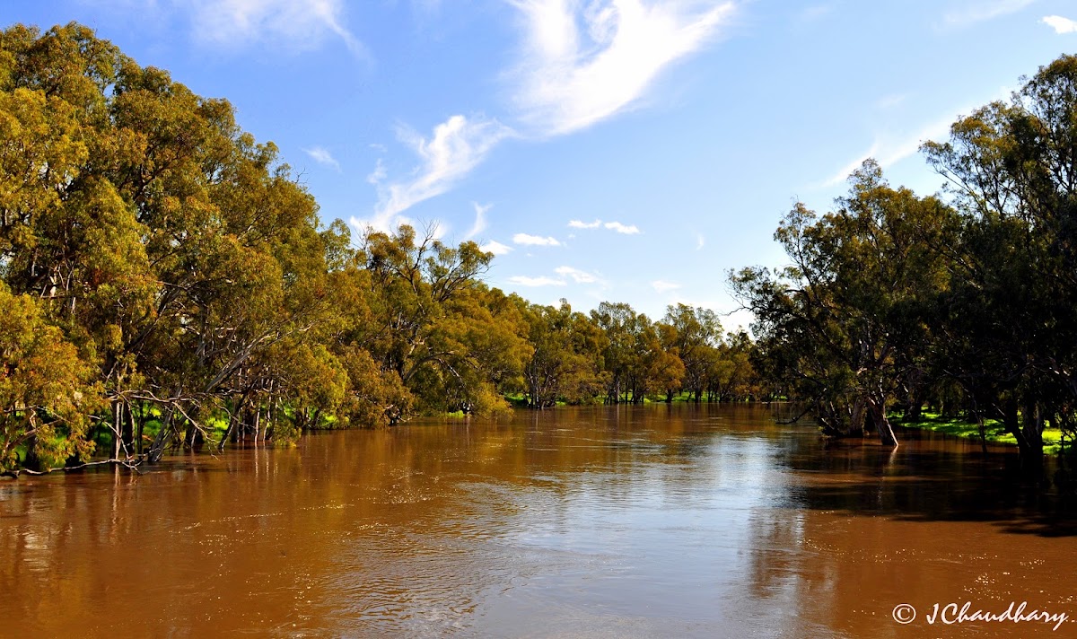 Murrumbidgee River Bridge Carrathool