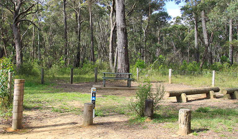 Carrington Falls Campground