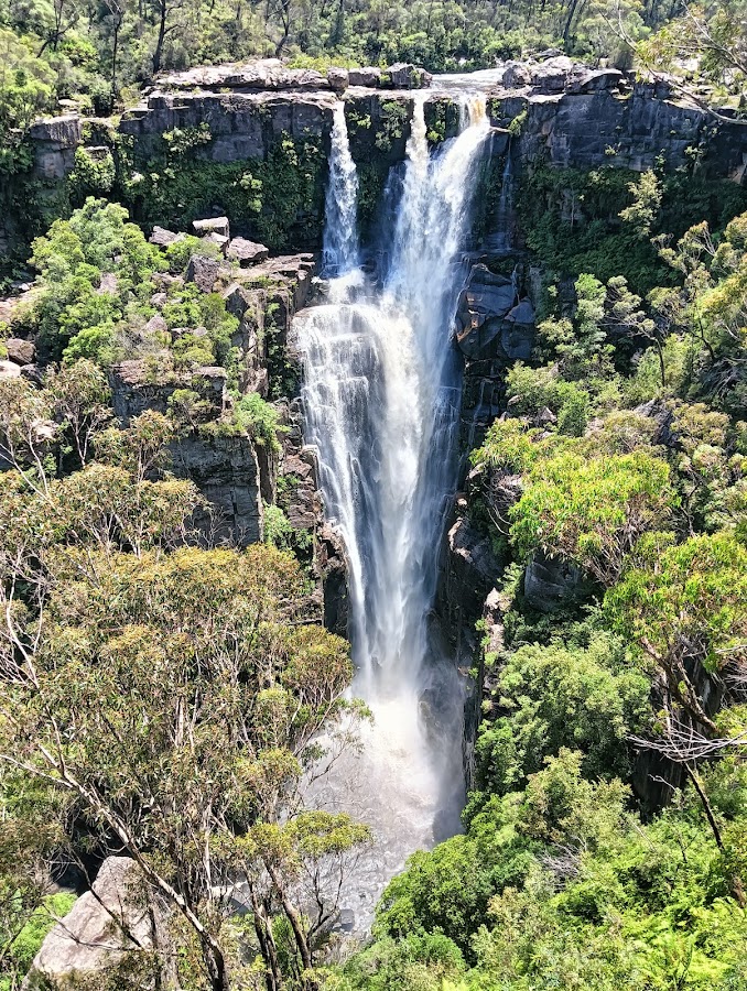 Carrington Falls Campground