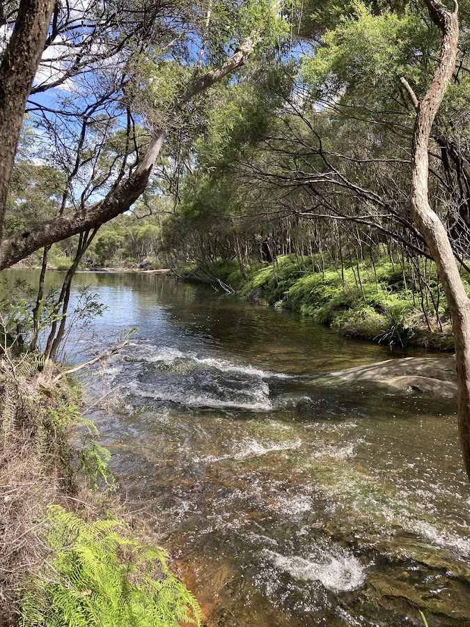 Carrington Falls Campground