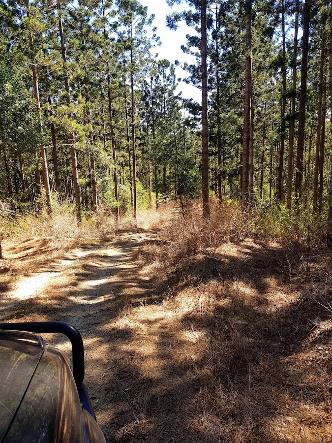 Fairlies Knob National Park