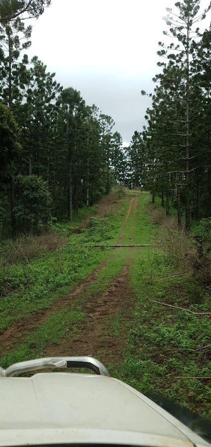 Fairlies Knob National Park