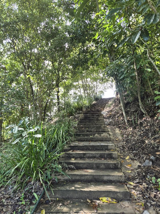 Hinchinbrook Island Lookout
