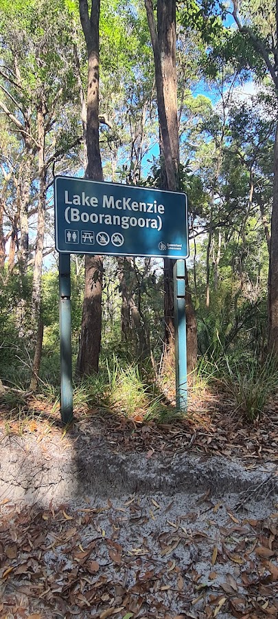 Lake McKenzie Great Walk Fenced Campground