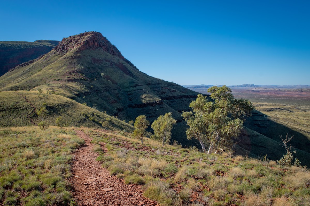 Mount Bruce