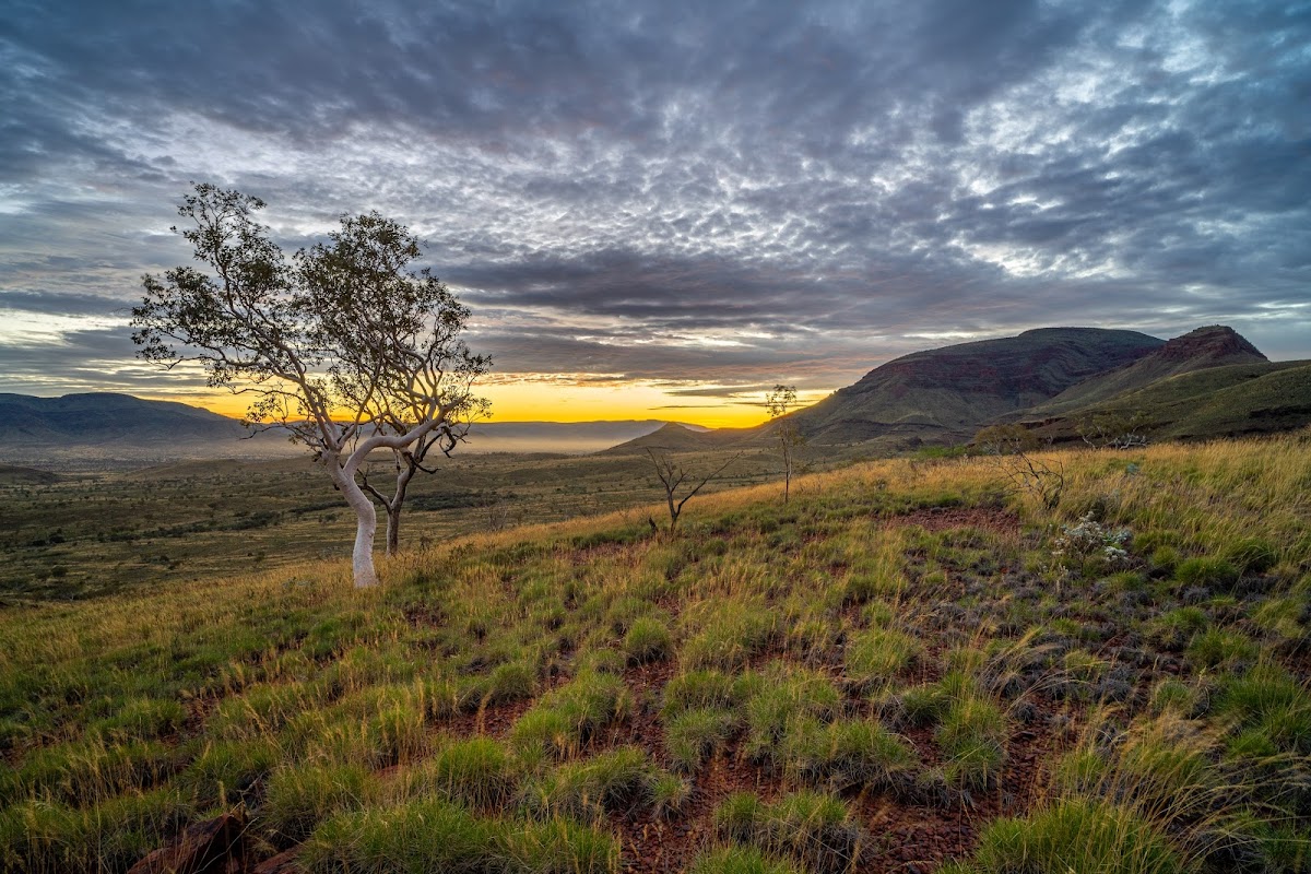 Mount Bruce