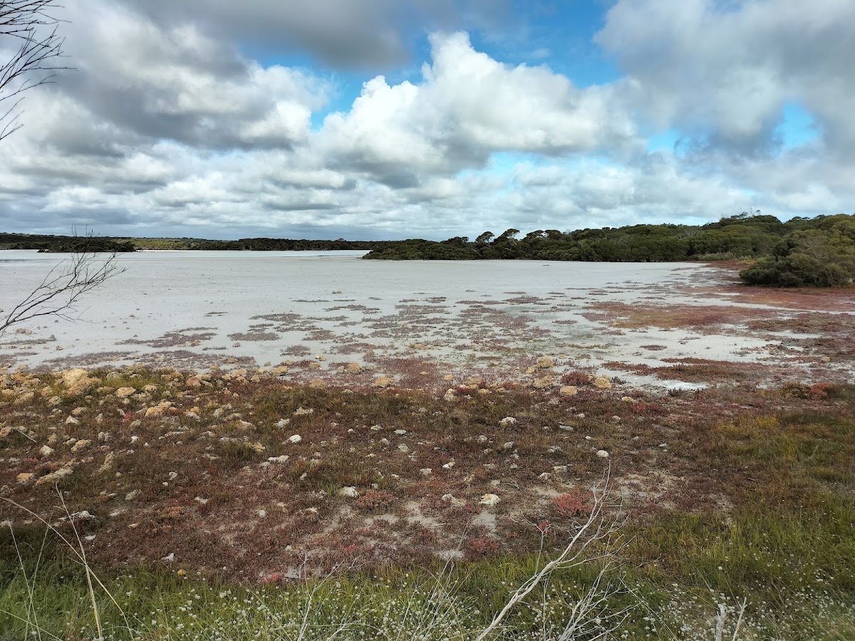 Martin Washpool Conservation Park