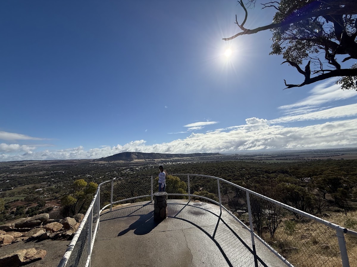 Mt Brown Lookout