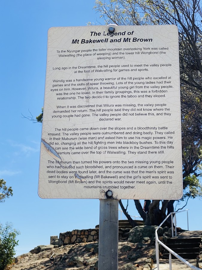 Mt Brown Lookout
