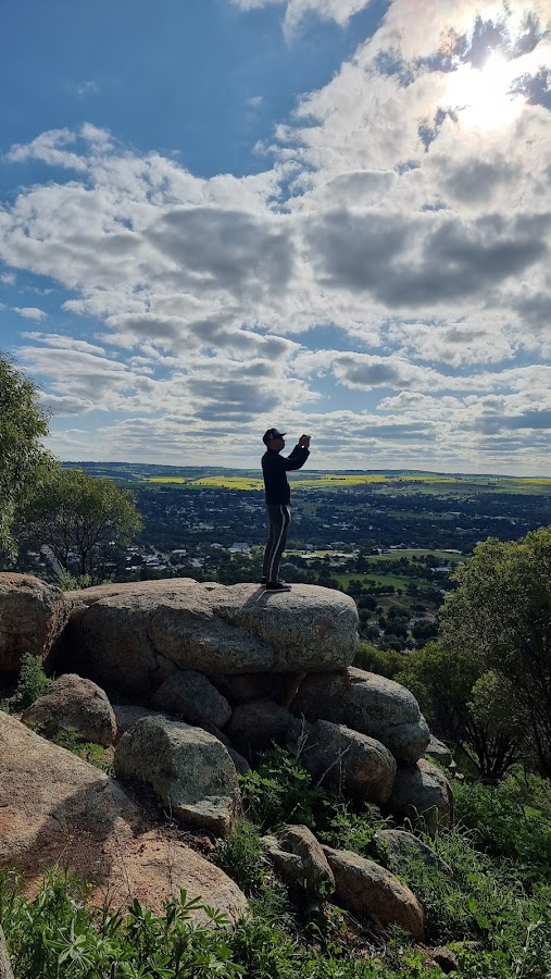Mt Brown Lookout