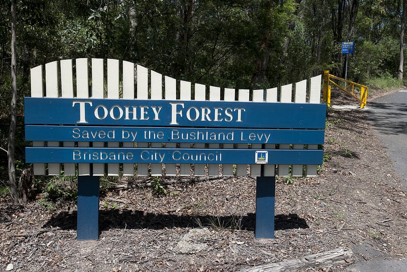 Toohey Forest Conservation Park